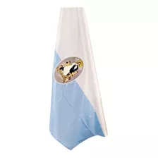 Bandera Mariana Inmaculada Concepción Bordada