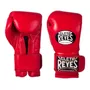 Segunda imagen para búsqueda de guantes cleto reyes