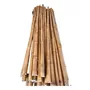 Primera imagen para búsqueda de bambu artificial decorativo