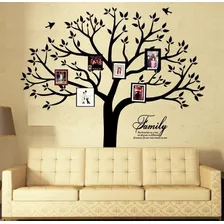 Vinilo Decorativo Pared Arbol Con Marcos Para Fotos