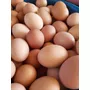 Tercera imagen para búsqueda de precio del huevo