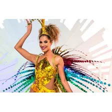 Dvd Desfile Das Escolas De Samba Rio De Janeiro 2022