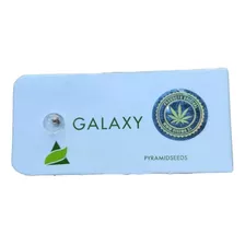 Semilla De Colección Galaxy X1 - Pyramid Seed