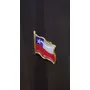Primera imagen para búsqueda de bandera chilena con escudo