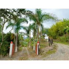 Venta Finca 15 Fanegadas Clima Cálido En Pacho Vereda Las Águilas 