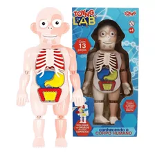 Brinquedo Kit Médico Corpo Humano Clini Kids Toyng