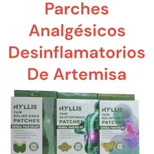 Parches De Artemisa Desinflamatorios