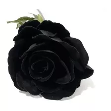20 Sementes Rosa Preta Negra Exótica Rara + Frete Grátis!!