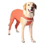 Primera imagen para búsqueda de body cobre perro con patas