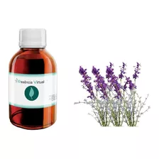 Essência Lavanda Francesa 100 Ml Óleo - Essência Virtual