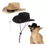 Primera imagen para búsqueda de gorras para perros