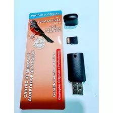 Cartão De Memória + Adp De Pen Drive Oficial Curio Ana Dias