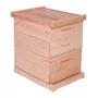 Terceira imagem para pesquisa de caixa de abelha