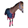 Segunda imagen para búsqueda de caballos de pura raza gypsy vanner para la venta