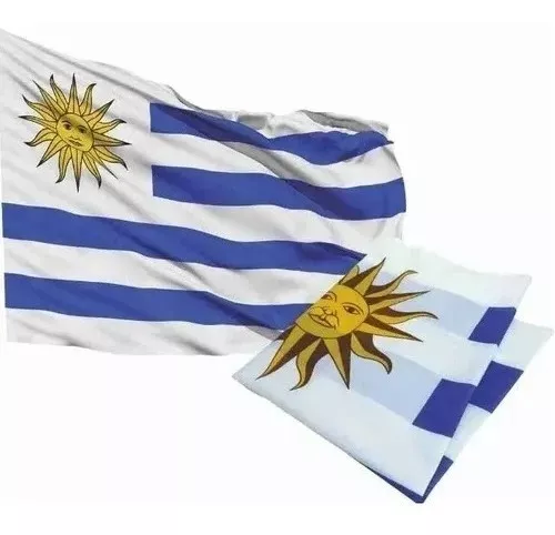 Bandera De Uruguay Oficial 120 X 180 Cm