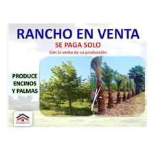 Finca/rancho En Venta En Cadereyta Jimenez Centro