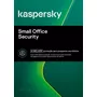 Segunda imagem para pesquisa de kaspersky small office security