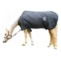 Terceira imagem para pesquisa de capa para cavalo inverno