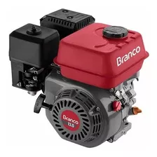 Motor Branco 13hp - B4t 13,0 - Ohv - 90315790