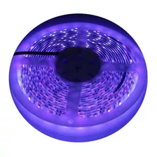 Tira Led Luz Negra Ultravioleta 5050 Rollo 5 Metros Interior