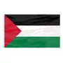 Primera imagen para búsqueda de bandera de palestina