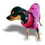 Terceira imagem para pesquisa de roupa pinscher