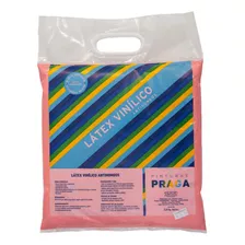 Pintura En Bolsa Rosado Praga Mimbral