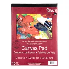 Canvas Pad 10 Lienzos Pintura Oleo Acrilico Paleta Color