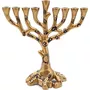 Segunda imagen para búsqueda de candelabro menorah