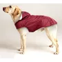 Segunda imagen para búsqueda de chaqueta impermeable perro
