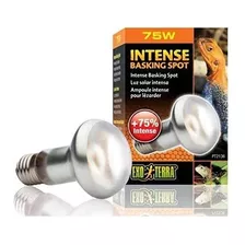 Foco Exo Terra Tight Beam 75w Reptiles