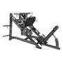 Primeira imagem para pesquisa de leg press 45