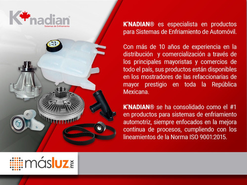 Banda Distribucion Fiat 500 L4 1.4l 09-19 K-nadian Foto 4