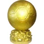 Tercera imagen para búsqueda de trofeos futbol