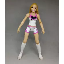 Boneco Action Figure Natálya Wwe Superstar Mattel Divas E8