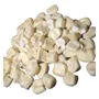 Segunda imagen para búsqueda de maiz cacahuazintle por kilo