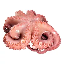 Pulpo Congelado 