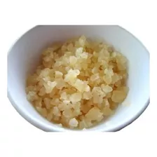 Tibicos Para Kefir De Agua