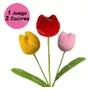 Segunda imagen para búsqueda de tulipanes tejidos