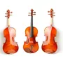 Segunda imagen para búsqueda de violin profesional