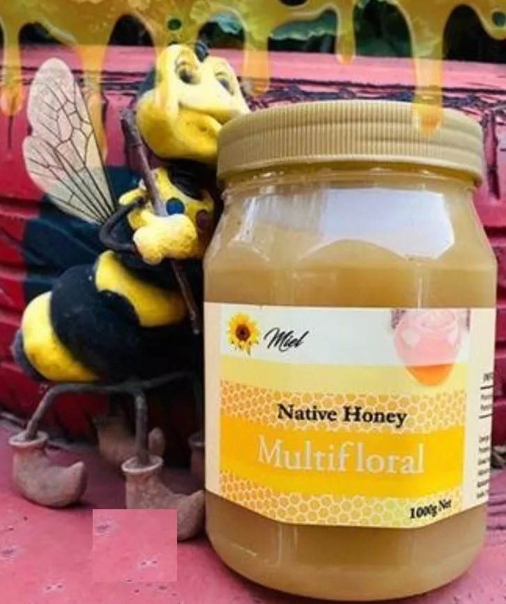 Miel Native Honey Multifloral 1 Kilo Pura Orgánica Natural