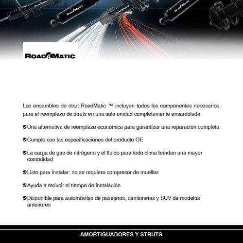 2 Amortiguadores Traseros Roadmatic Nissan Sentra 02-06 Foto 3