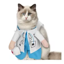 Disfraz De Médico Con Forma De Gato Pequeño Y Divertido