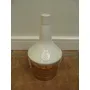 Primera imagen para búsqueda de botellas antiguas chile
