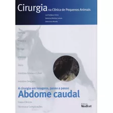 Cirurgia Clínica De Pequenos Animais - Abdome Caudal, De Gómez/ Sañudo/ Morales. Editora Medvet Editora Em Português