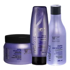 Kit 3 Pecas Vitaforce Wf 2,3l Para Protecao Pós Química