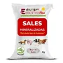 Tercera imagen para búsqueda de alimento para borregos de engorda