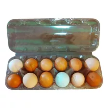 Caixa Para 12 Ovos De Galinha 50 Embalagens-bandejas