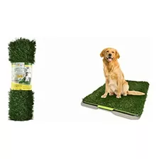 Fancy Pets Repuesto Para Doggie Grass Tamaño Grande Para