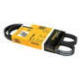 (1) Banda Accesorios Micro-v Protege5 2.0l 4 Cil 02/03